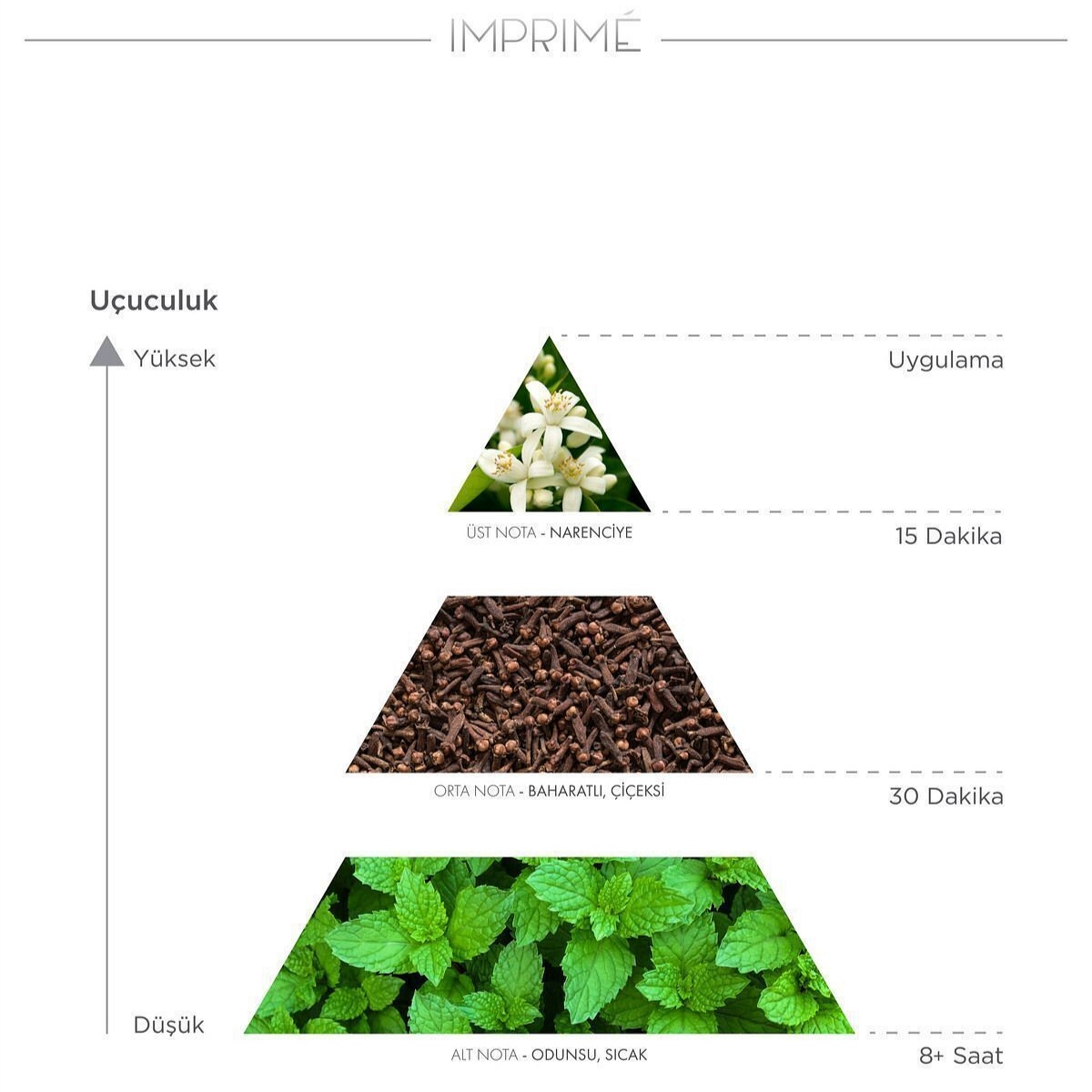 Flormar Göz Farı - Diamonds Terracotta Eyeshadow Golden Eyes 5 G 8690604083886 0212042