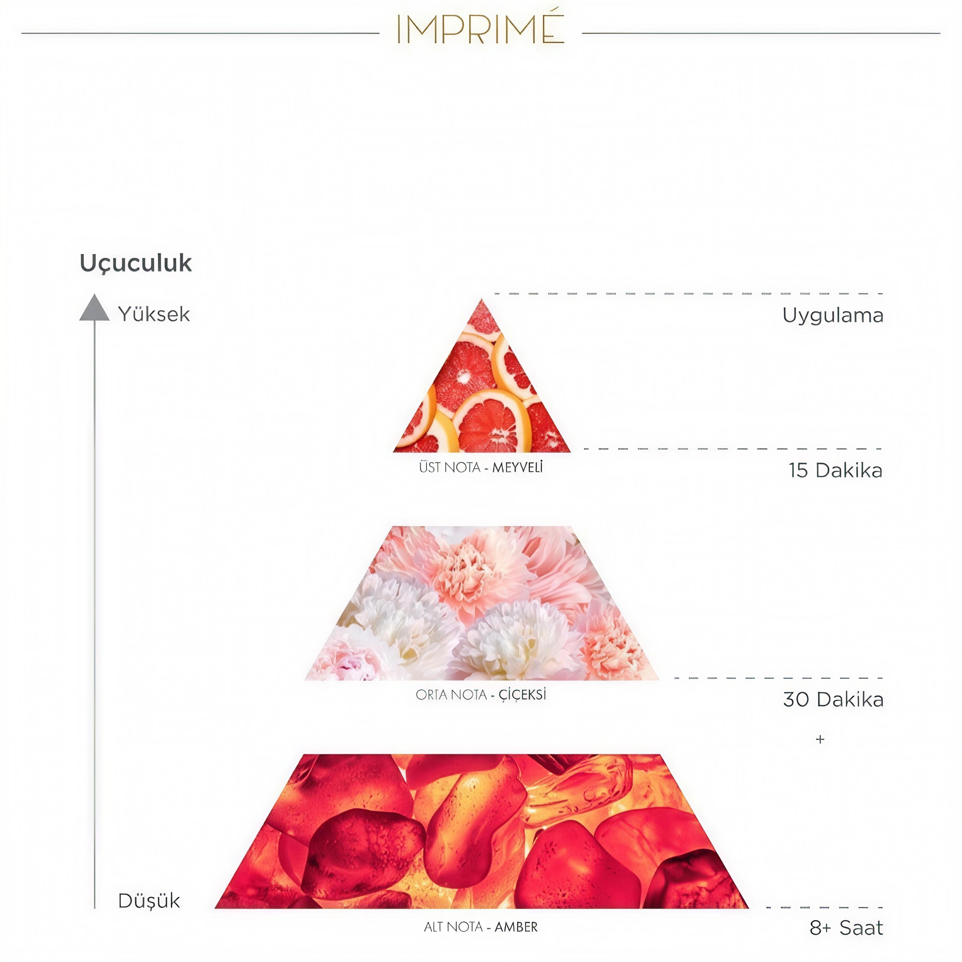 Flormar Göz Farı - Diamonds Terracotta Eyeshadow Golden Eyes 5 G 8690604083886 0212042