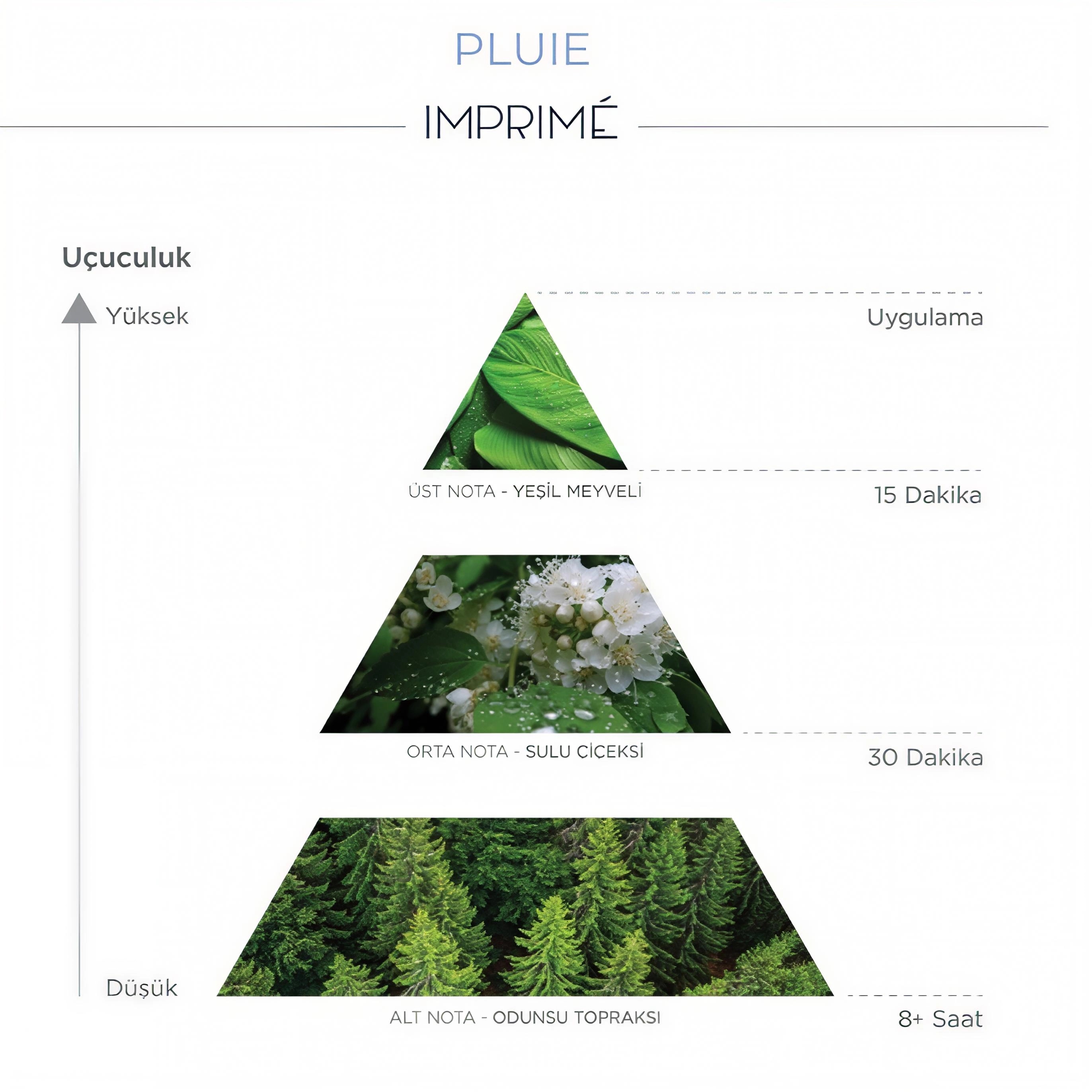 Flormar Göz Farı - Diamonds Terracotta Eyeshadow Golden Eyes 5 G 8690604083886 0212042