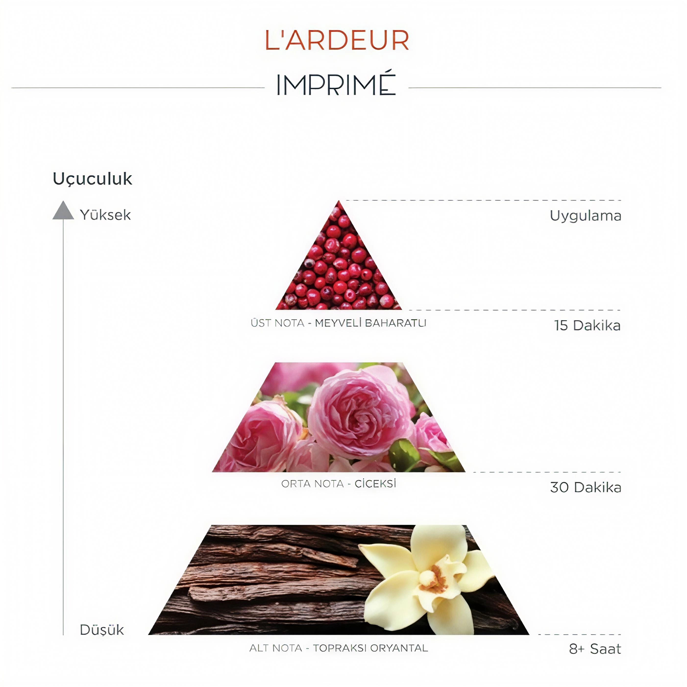 Flormar Göz Farı - Diamonds Terracotta Eyeshadow Golden Eyes 5 G 8690604083886 0212042